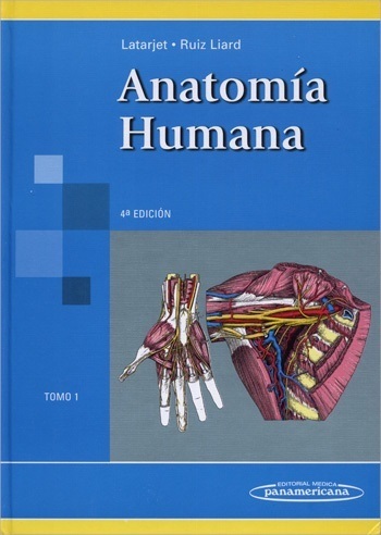 anatomia_humana